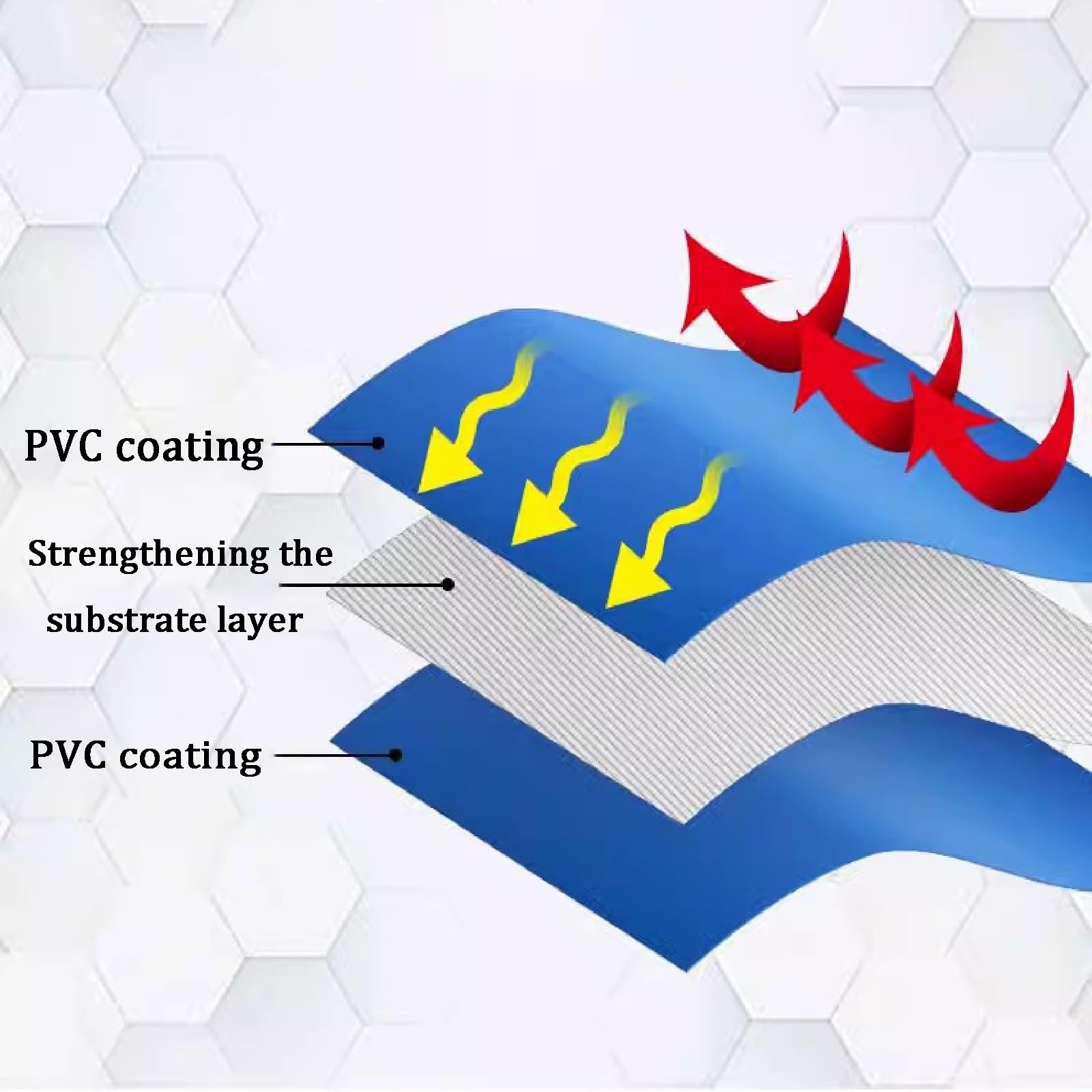 Amazon.co.jp: PHLEPS 魚のいる池、水族館のプールの池、池